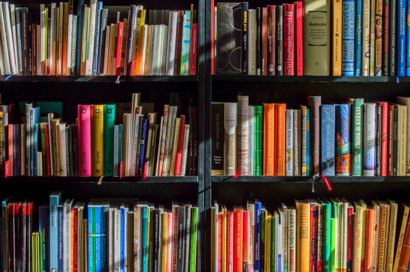 boutique-BAUDINARD SUR VERDON-min_books_bookstore_book_reading_shop_writer_sale_books_read-822866
